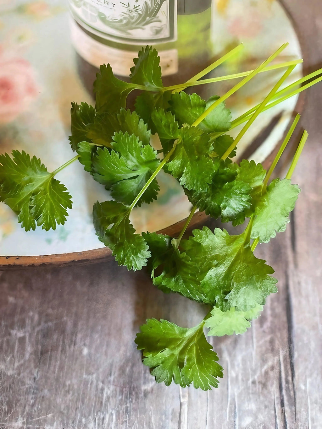 Fresh coriander from Bishy Barnabees Cottage Garden Ltd, featuring vibrant green leaves and delicate stems, rests on a floral-patterned plate atop a rustic wooden surface.