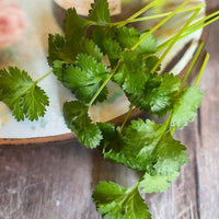 Fresh coriander from Bishy Barnabees Cottage Garden Ltd, featuring vibrant green leaves and delicate stems, rests on a floral-patterned plate atop a rustic wooden surface.