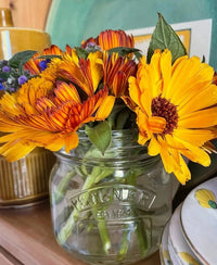 A clear glass Kilner jar from Bishy Barnabees Cottage Garden Ltd holds vibrant Calendula Touch of Red flowers with green leaves and purple blossoms, displayed on a shelf beside decorative plates and a green backdrop.