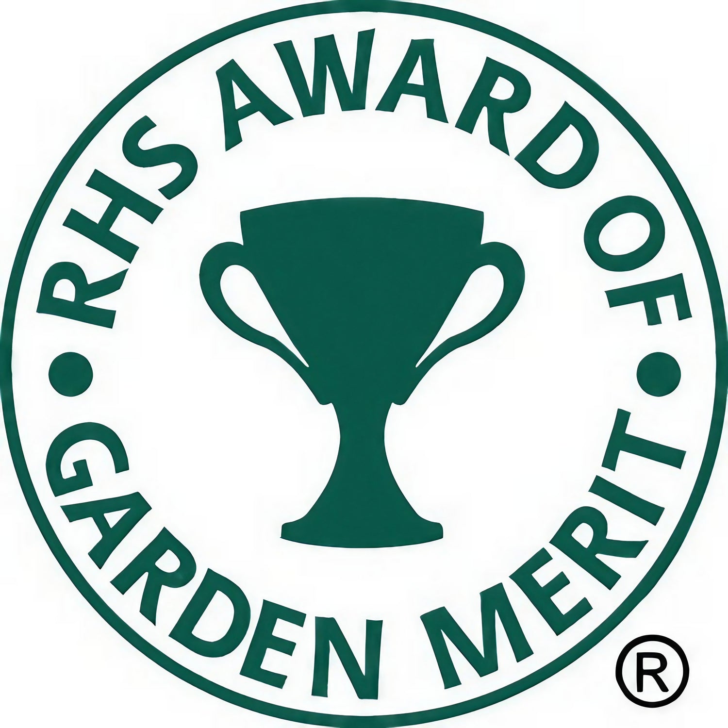 Coreopsis Early Sunrise flowers awarded the RHS Garden Merit