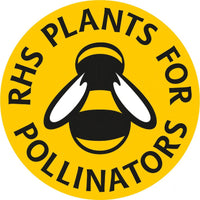 A yellow circular badge with a black and white bee illustration, featuring "RHS PLANTS FOR POLLINATORS" around the edge—ideal to display with Cosmos Purity flowers from Bishy Barnabees Cottage Garden.