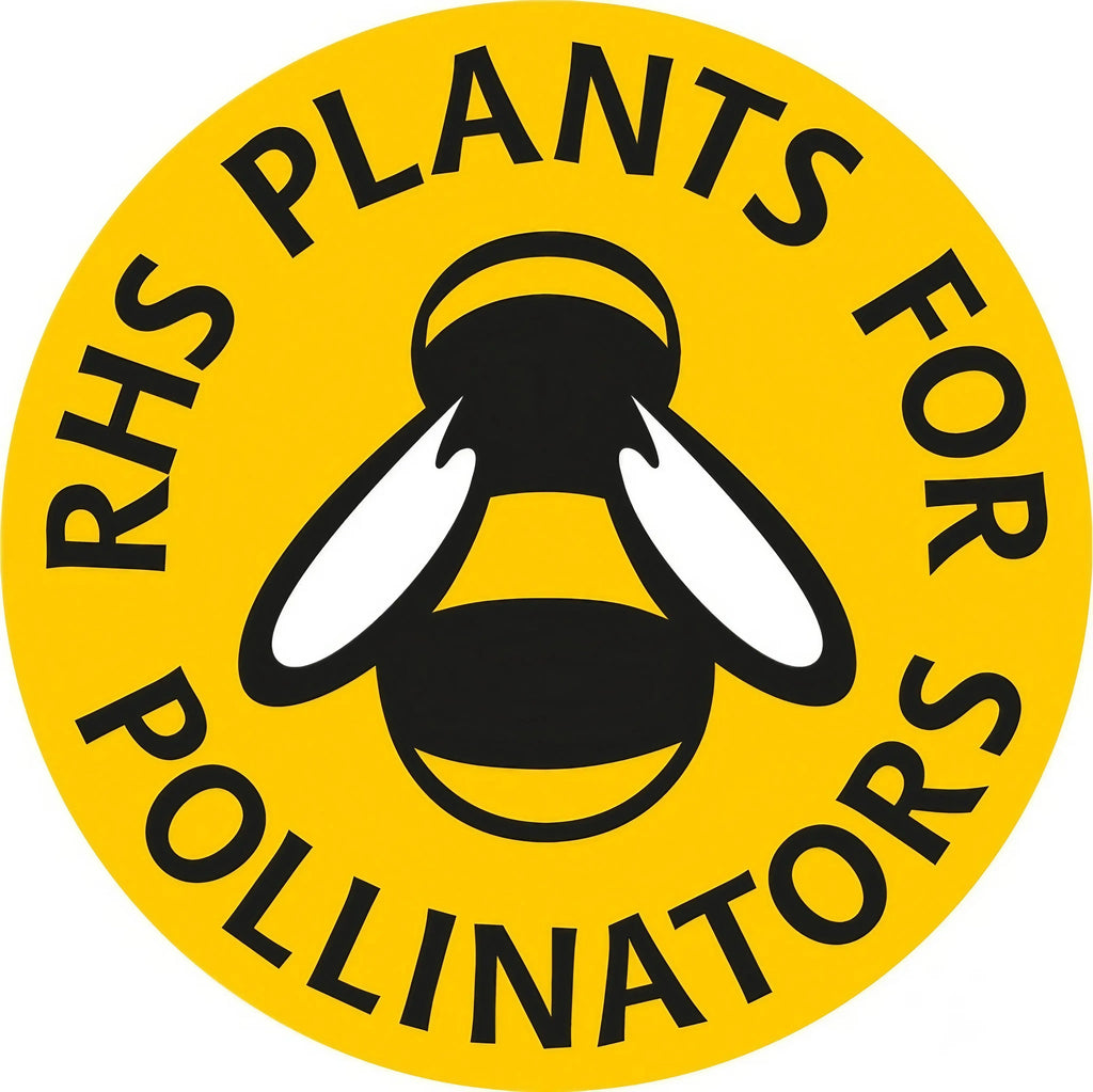 Yellow circular badge with a black and white bee illustration and bold "RHS PLANTS FOR POLLINATORS" text—great for your spring garden. Try 'Forget-me-not White' from Bishy Barnabees Cottage Garden for beautiful white star-shaped blooms.