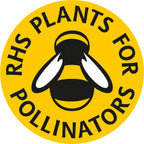 Yellow circular badge with a black and white bee illustration and bold "RHS PLANTS FOR POLLINATORS" text—great for your spring garden. Try 'Forget-me-not White' from Bishy Barnabees Cottage Garden for beautiful white star-shaped blooms.