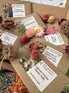 A close-up of Bishy Barnabees Cottage Garden "Flowers to Grow - Perfect for Drying" seed packets with flower names, surrounded by everlasting flowers, all displayed in a cardboard box.