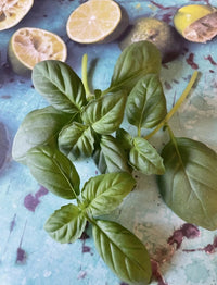 Bishy Barnabees Cottage Garden Ltd's Basil Thai Large Leaf is displayed on a blue surface, with several halved and squeezed limes in the background.