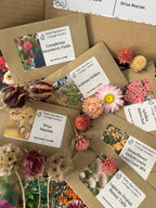 Bishy Barnabees Cottage Garden's "Flowers to Grow - Perfect for Drying" seed packets, featuring dried flowers like Gomphrena Strawberry Fields and Scabiosa Stellata, are displayed amid everlasting blooms in soft pink, cream, and beige tones.