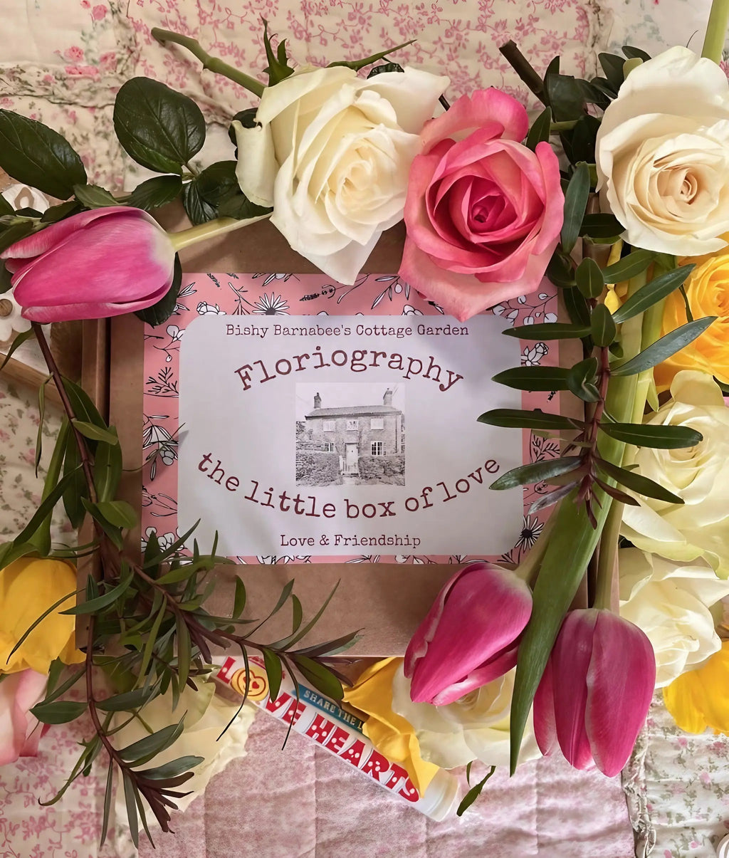 Floriography: The Little Box of Love seed gift box among pink tulips, daffodils and roses