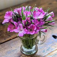 A clear glass mug filled with vibrant pink Corncockle from Bishy Barnabees Cottage Garden Ltd and green stems sits on a wooden surface, creating a simple, fresh floral arrangement.