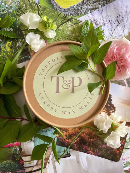 Tadpole T&amp;P luxury wax melts surrounded by fresh flowers and greenery on a colorful photo background.