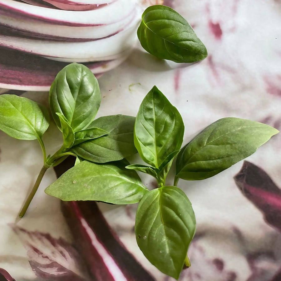 Thai Basil 'Siam Queen' Seeds | Spicy Anise Herb | Ornamental – Bishy ...