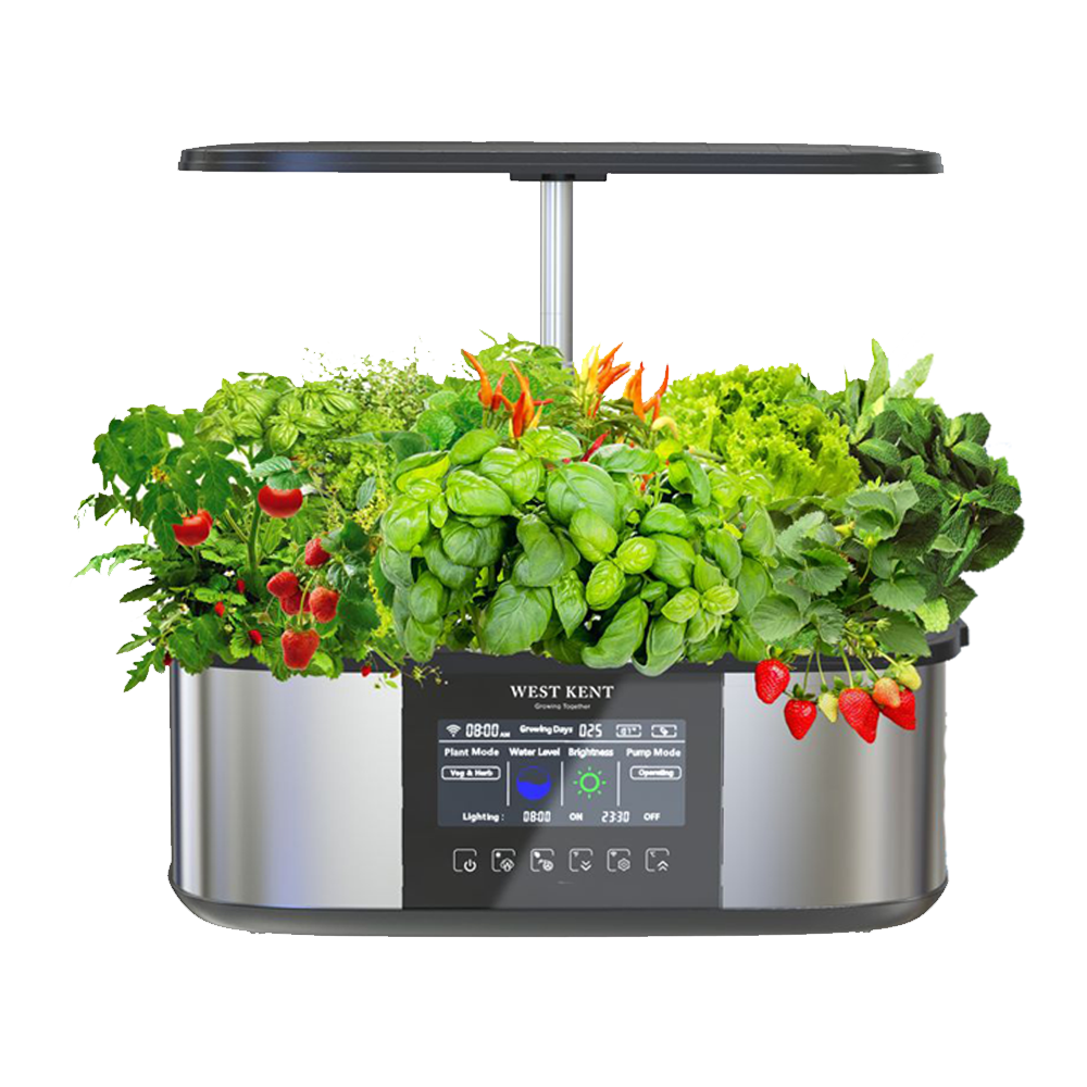21 pod smart garden deluxe in stainless steel with basil and red chillies, white background