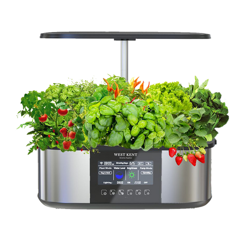 21 pod smart garden deluxe in stainless steel with basil and red chillies, white background