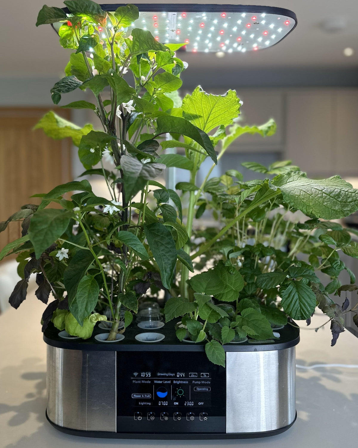 Close-up of the 21 pod smart garden with tall leafy plants under the LED light