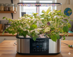 21 pod smart garden deluxe with leafy greens on a wooden kitchen table