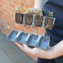 Garland 24-Cell Fast Root Self-Watering Propagator