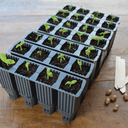 Garland 28-Cell Deep Root Propagator | For Sweet Peas, Beans & Climbers