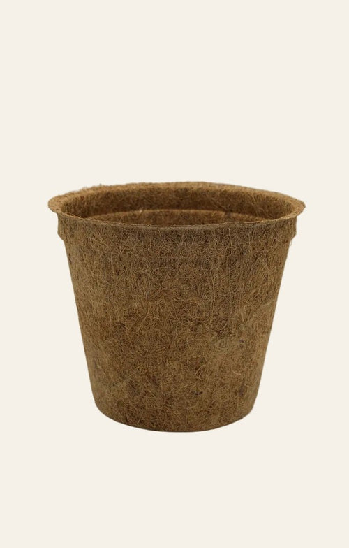 Single 28cm brown coir plant pot on a cream background