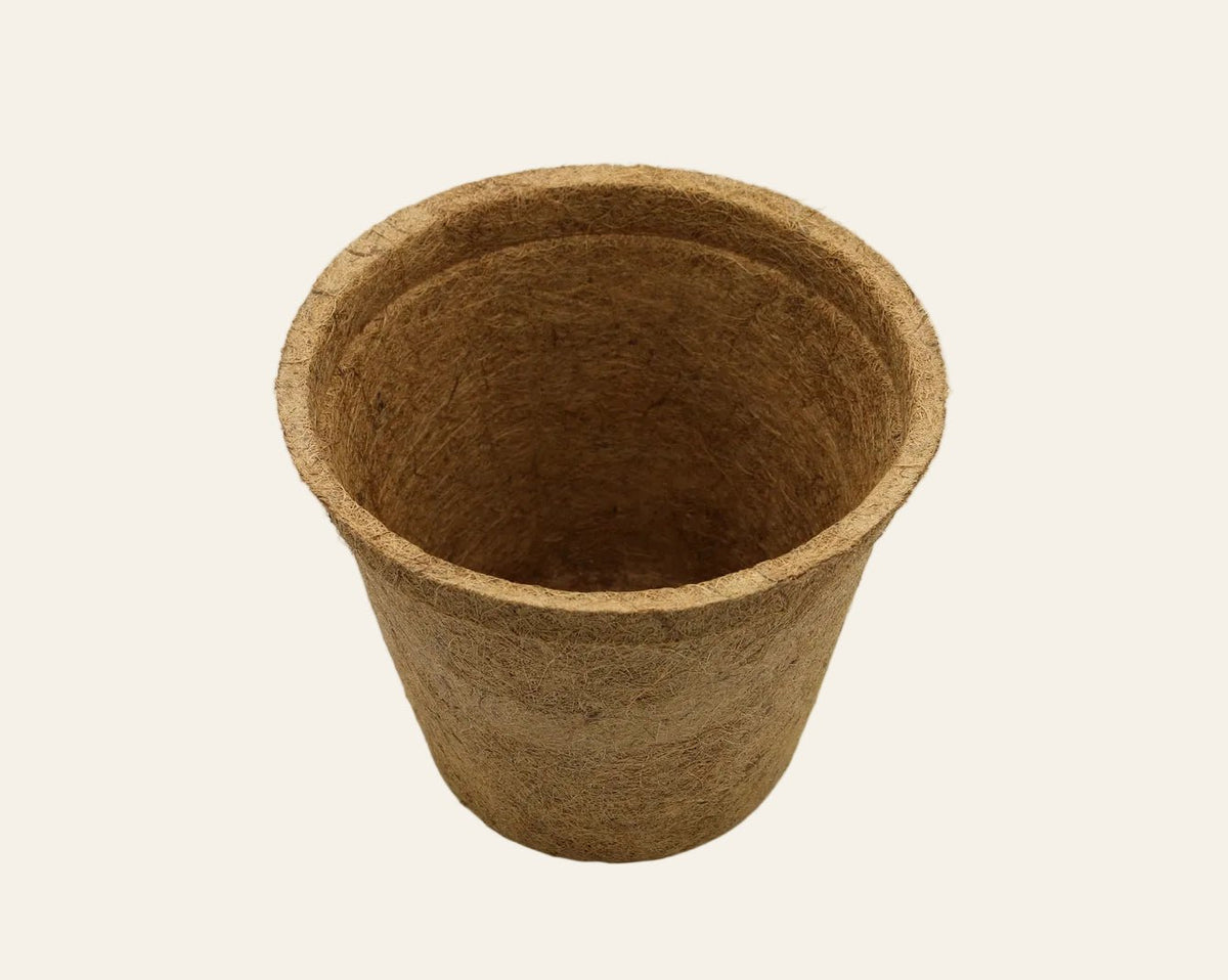 28cm Coir Plant Pots – 100% Biodegradable & Peat-Free