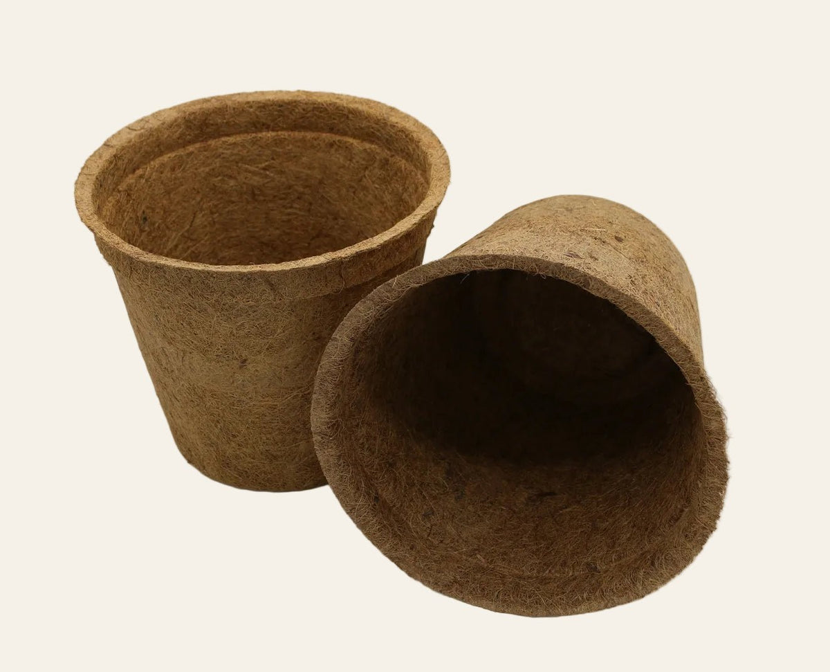 28cm Coir Plant Pots – 100% Biodegradable & Peat-Free