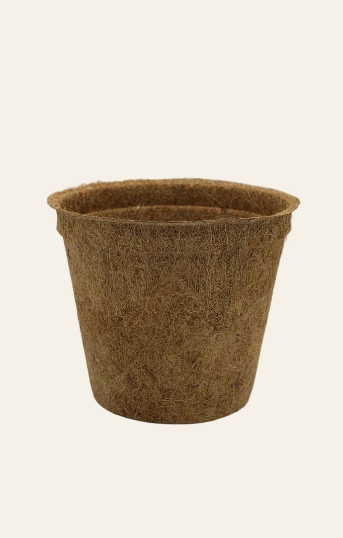 28cm Coir Plant Pots – 100% Biodegradable & Peat-Free