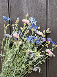 Cornflower Dried Flowers | Norfolk Meadow Bunch