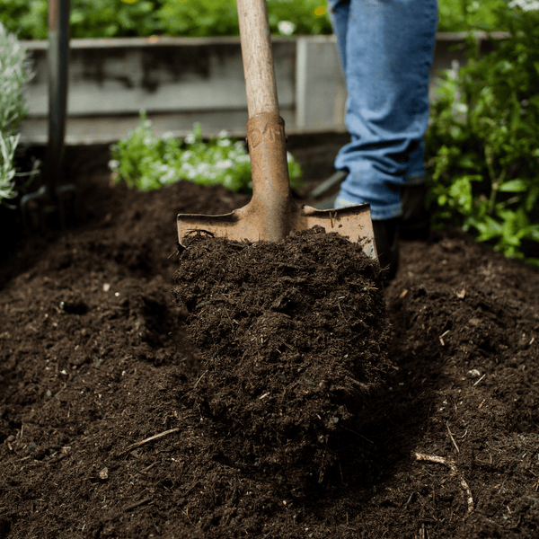 Wearing jeans, a person uses a shovel to turn Dandy's Topsoil & Landscape Supplies Compost Springmix Garden Mulch in a garden bed bordered by wood and lush green plants.
