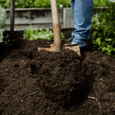 Dandy's SummerMix Compost & Garden Mulch | Moisture-Retention Mulch