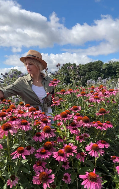 A woman in a green shirt and hat stands among Echinacea Purple Coneflower by Bishy Barnabees Cottage Garden, surrounded by blooming flowers and trees under a blue sky with white clouds.