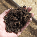 A hand holds dark, moist Compost Wintermix Garden Mulch by Dandy's Topsoil & Landscape Supplies in a garden—ideal for enriching soil as organic compost mulch.