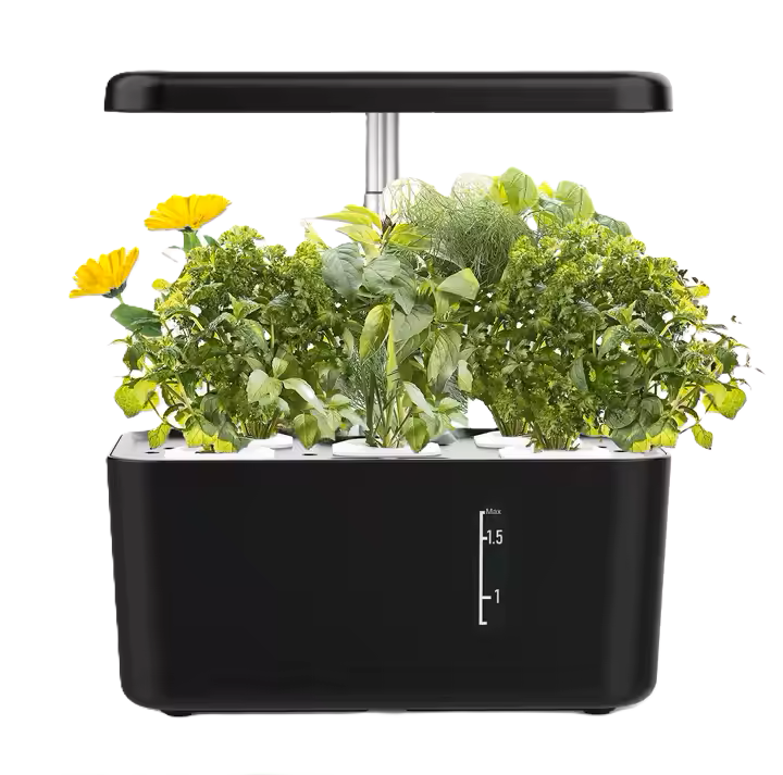 Black 5 pod mini smart garden with herbs and yellow flowers, white background