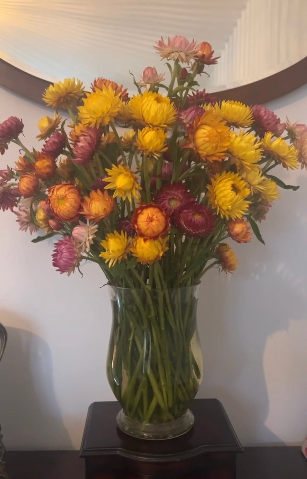 A clear glass vase of Strawflower Helichrysum Swiss Giant Mix by Bishy Barnabees Cottage Garden, in yellow and pink hues, sits on a dark wood table beneath a round mirror, bringing everlasting natural beauty indoors.