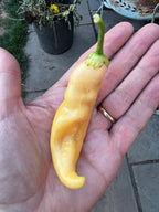 Sugar Rush Peach Chilli