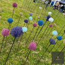 Handmade Allium Heads by LV Bespoke | Year-Round Garden Structure