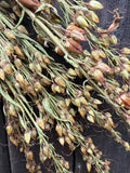 Close-up of Penstemon Dried by Bishy Barnabees Cottage Garden Ltd, featuring green and brown seed heads and stems against a dark wood background. Ideal for bringing rustic Norfolk charm to your floral arrangements.