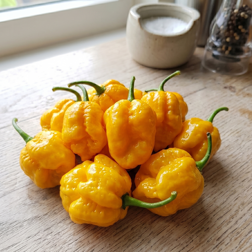 7 Pot Yellow superhot chilli - bright yellow wrinkled fruits 