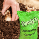 A person plants bulbs in soil with a green bag of Dandy's Topsoil & Landscape Supplies Compost AutumnMix Garden Mulch in the foreground, suggesting gardening and healthy growth using premium mulch.