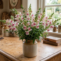 A bouquet of Antirrhinum Lucky Lips by Bishy Barnabees Cottage Garden Ltd in a cream ceramic vase sits on a wooden table near a window, bringing charm to the cozy, sunlit room.