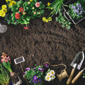 Gardening tools, a spool of twine, plant marker, flowers, and seedlings surround Dandy's Topsoil & Landscape Supplies' Topsoil Welsh Bordermix®, framing an open center ready for planting.