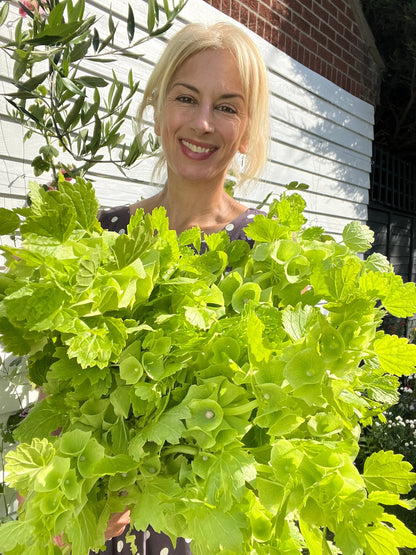 A smiling blonde woman stands outdoors, holding a large bouquet of Bells of Ireland from Bishy Barnabees Cottage Garden Ltd. She wears a dark dress with white polka dots, with a brick building and a white wooden wall in the background.