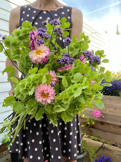 A person in a sleeveless polka dot dress holds a large bouquet featuring Bells of Ireland by Bishy Barnabees Cottage Garden Ltd, standing outdoors near white siding with a wooden planter box in the background.