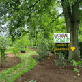 A lush garden with trees, shrubs, and a winding grass path. Text reads: NATURAL GROWER Natural Plant Feed 50L Bag—a mulch of goodness with slow-release fertiliser, shown by a yellow heart and arrow pointing to the mulch.