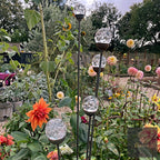 Bespoke Cluster of 5 Tall Glass Garden Feature | 1150mm Steel Stake