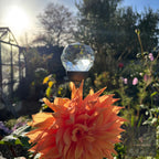 Bespoke Glass-Topped Garden Stake | 4 Sizes, 4 Finishes
