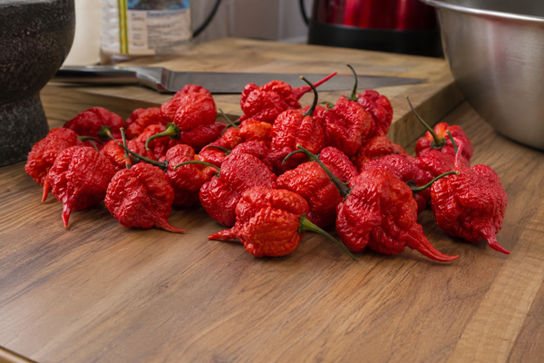 Carolina Reaper Chilli