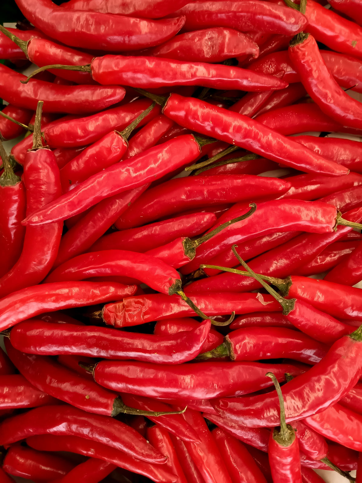 Cayenne Chilli