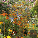 Bird & Insect Garden Stakes (Raw Steel, Two Heights)