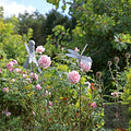 Swaying Birds / Insects Decorative Garden Stakes