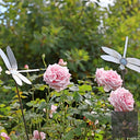 Bird & Insect Garden Stakes (Raw Steel, Two Heights)