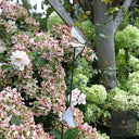 Bird & Insect Garden Stakes (Raw Steel, Two Heights)