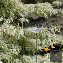 Bird & Insect Garden Stakes (Raw Steel, Two Heights)